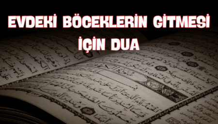 Evdeki Böceklerin Gitmesi İçin Dua: Manevi ve Pratik Çözümler