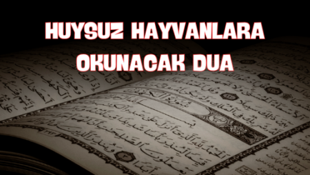 Huysuz Hayvanlara Okunacak Dua: Sakinlik ve İtaat İçin Manevi Rehber