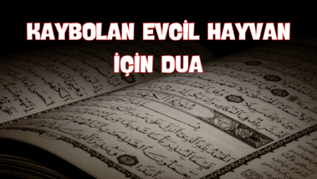Kaybolan Evcil Hayvan İçin Dua: Sevgi ve Umut İçin Manevi Rehber