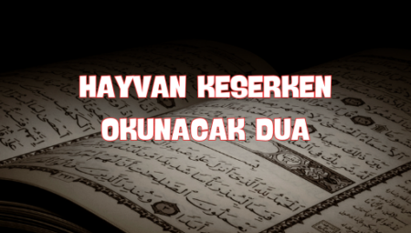 Hayvan Keserken Dua Etmenin Önemi